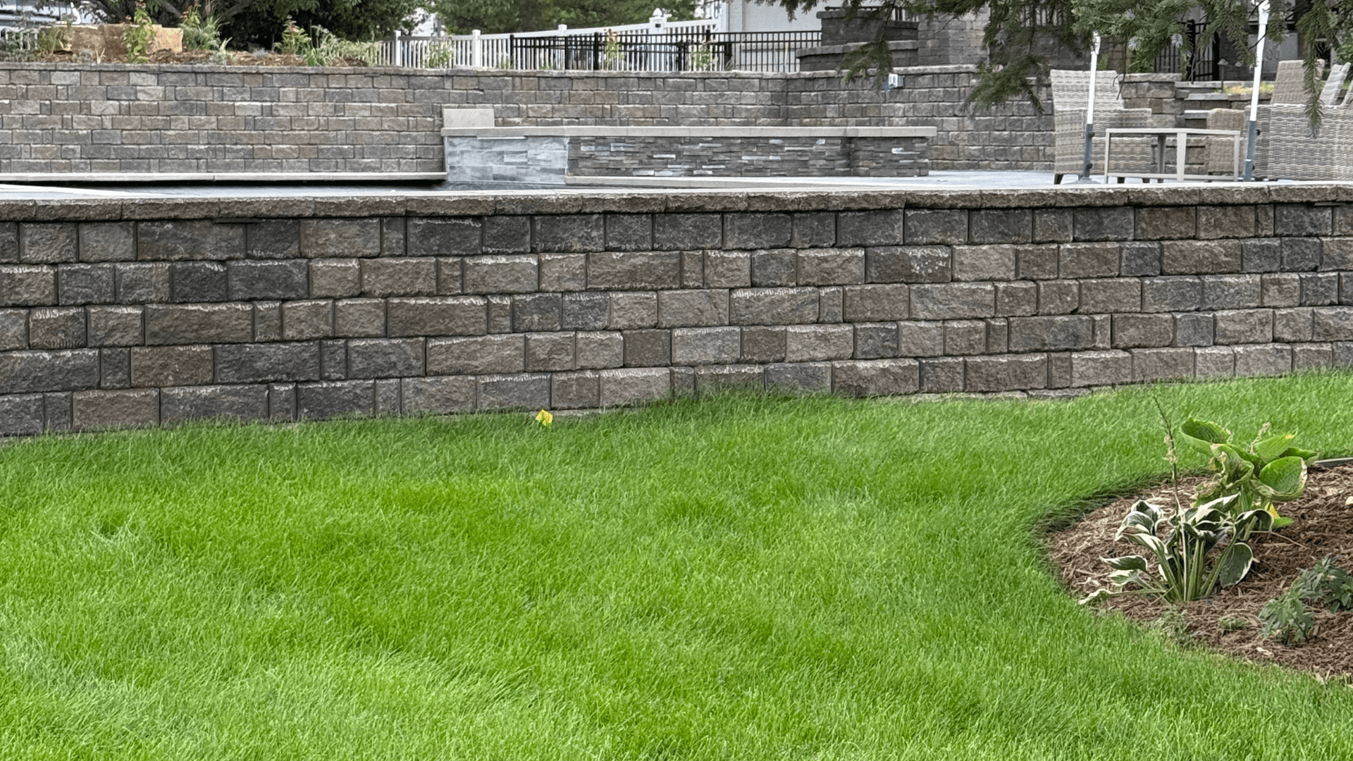 Fresh green lawn with stone retaining wall in landscaped backyard