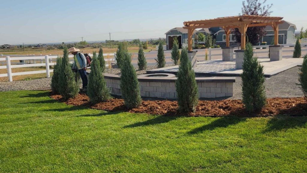 Lawn & Turf Care project