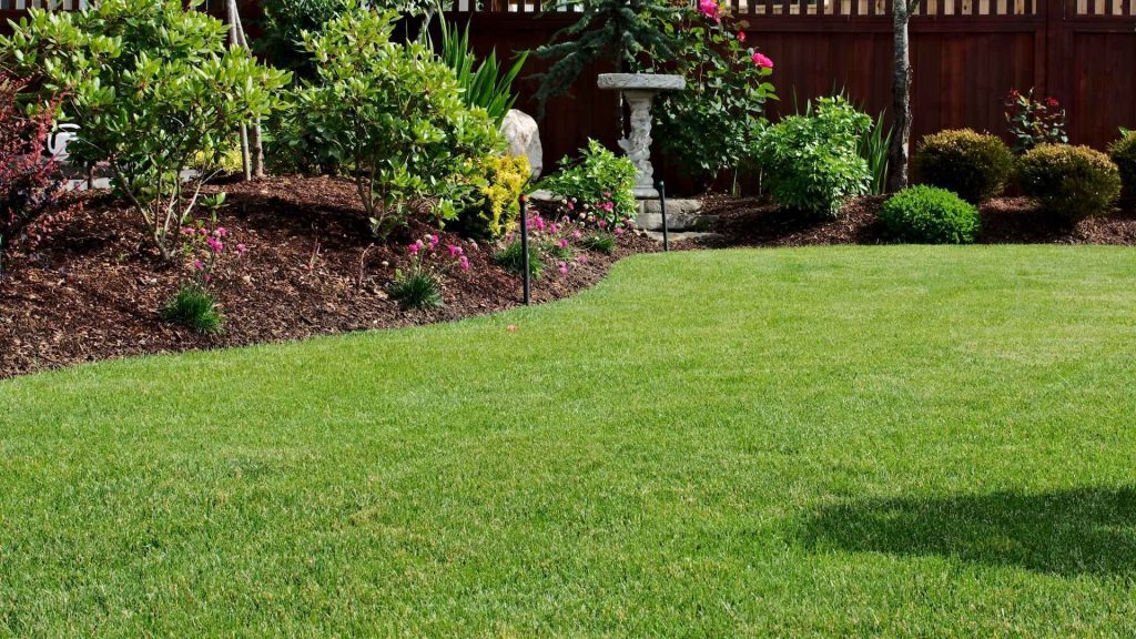Lawn & Turf Care