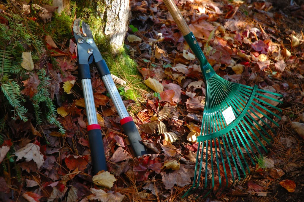 Seasonal Cleanup project